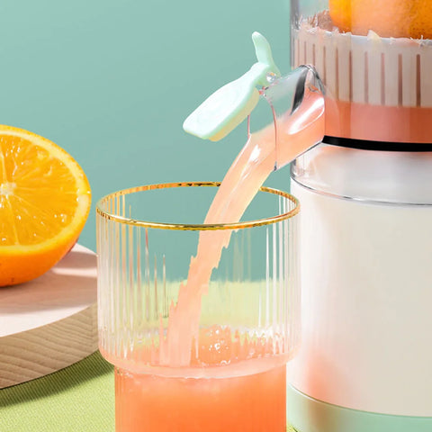 Portable Rechargeable Electric Extractor Juicer Mixer™- Outdoor & Indoor Juicer